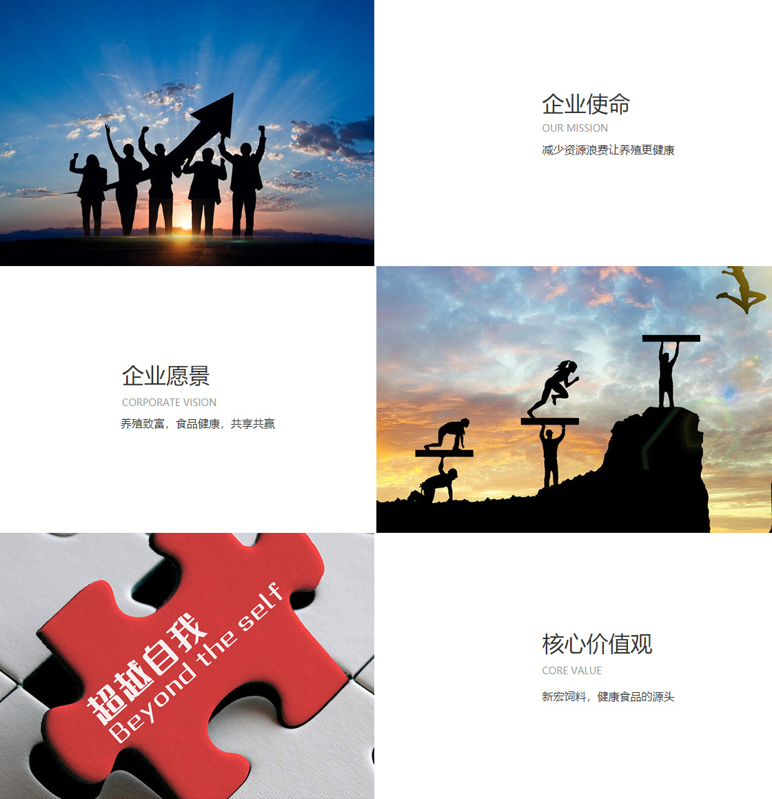 九州官方网站(图1)